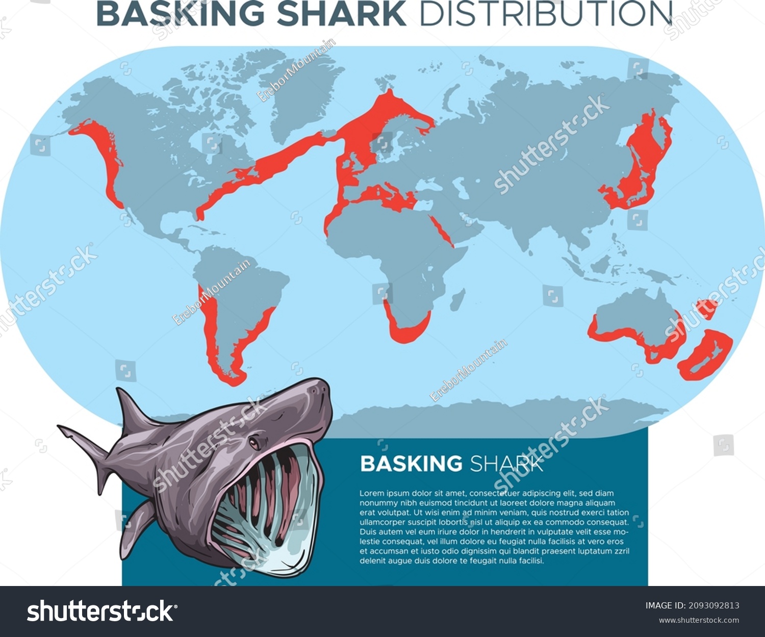 Vector Illustration Basking Sharks Distribution Map Stock Vector