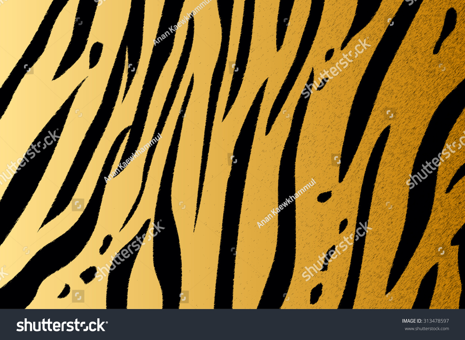 Vector Illustration Bengal Tiger Stripe Pattern Vector De Stock Libre De Regalías 313478597 4189