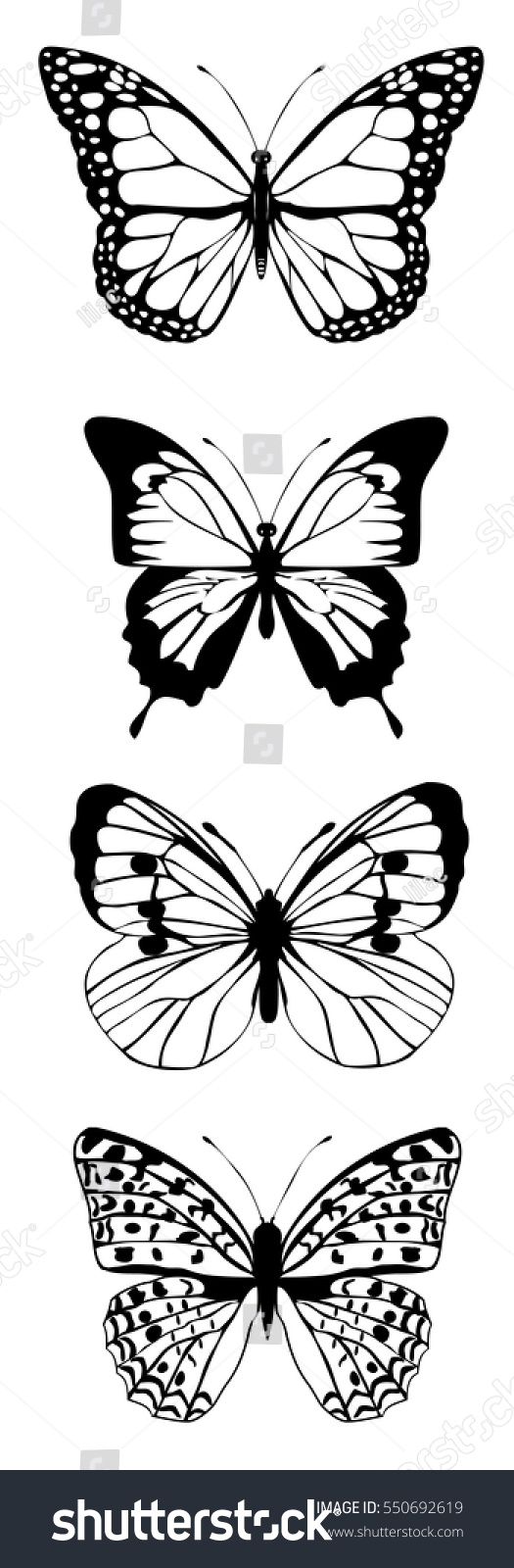 Vector Illustration Black White Vintage Butterflies Stock Image