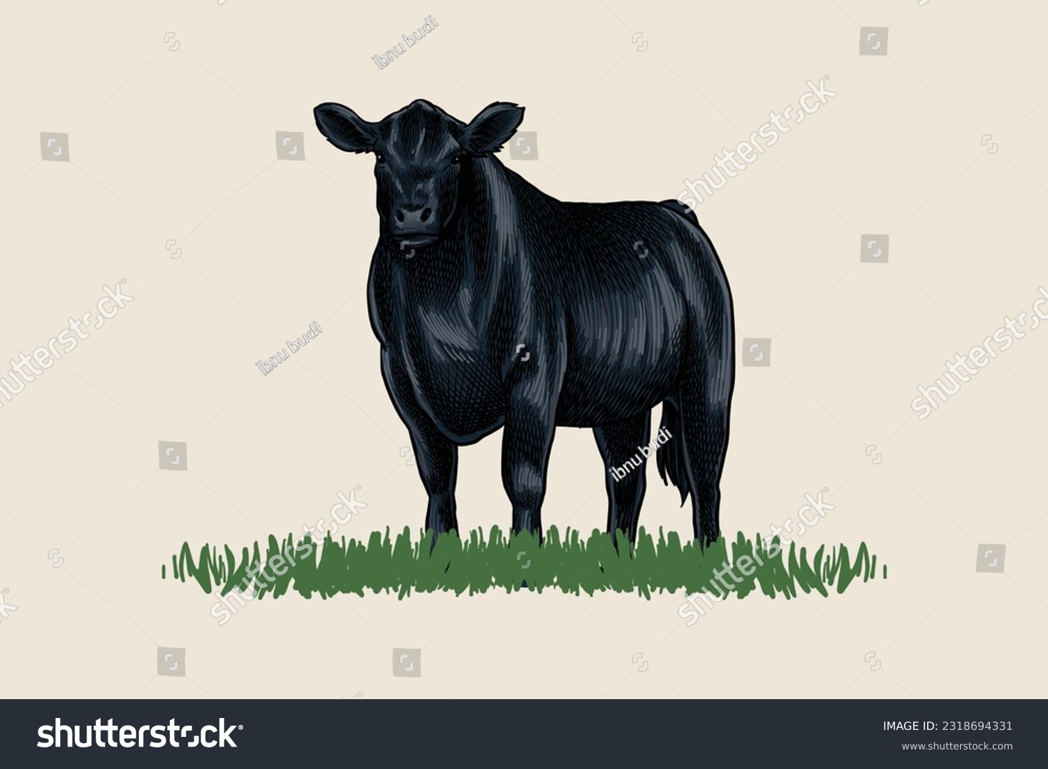 SVG of Vector illustration of black angus cow facing forward svg