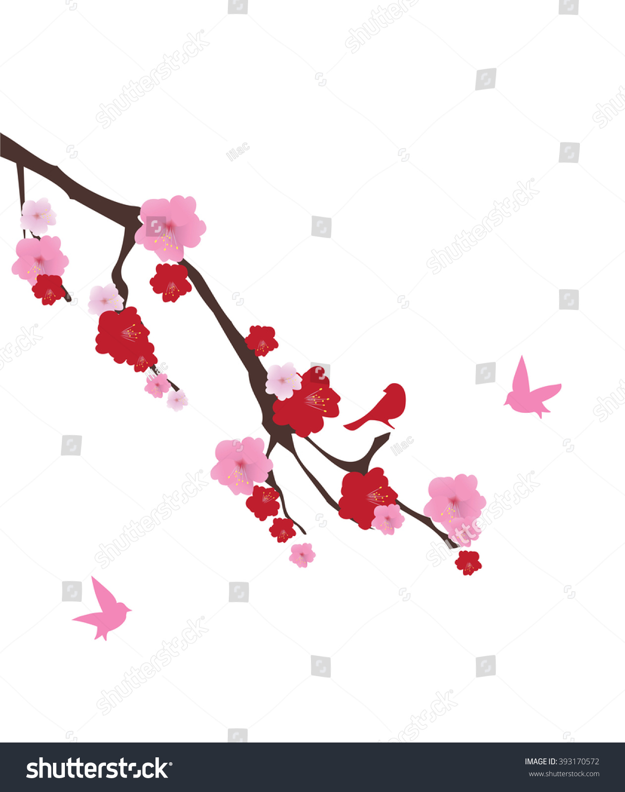 Vector Illustration Cherry Blossom Birds Stock Vector (Royalty Free ...