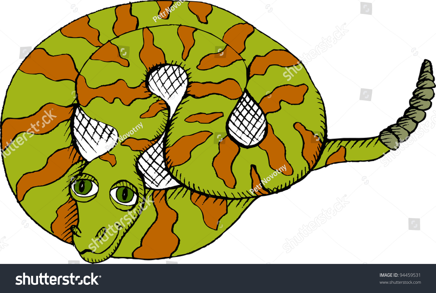 Vector Illustration Coiled Rattlesnake Stock Vector Royalty Free Shutterstock