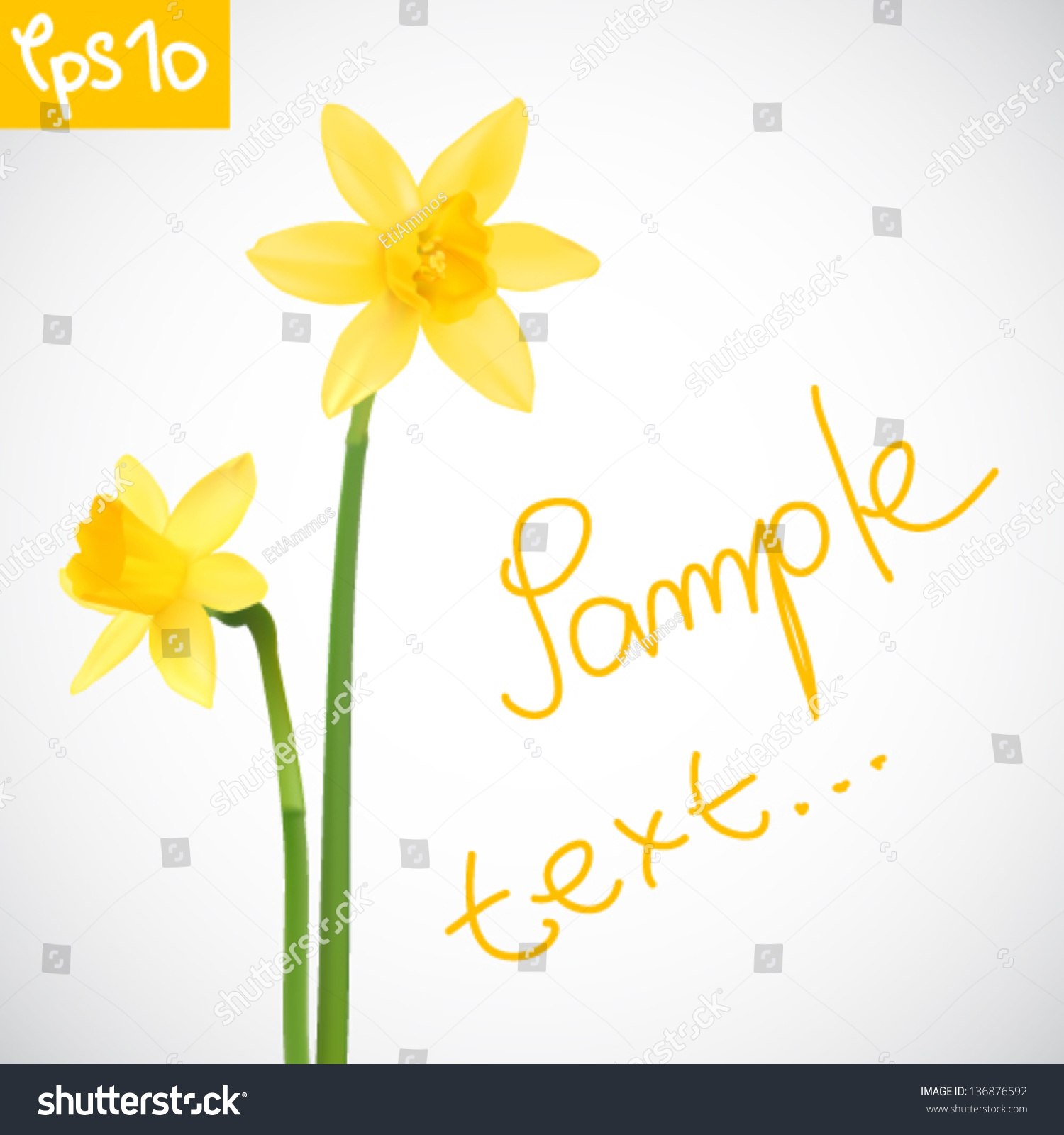 SVG of Vector illustration of daffodils svg