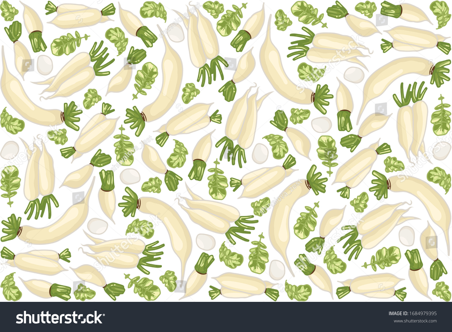 Vector Illustration Daikon Leaf Design Isolated Stock Vector Royalty Free 1684979395 4022