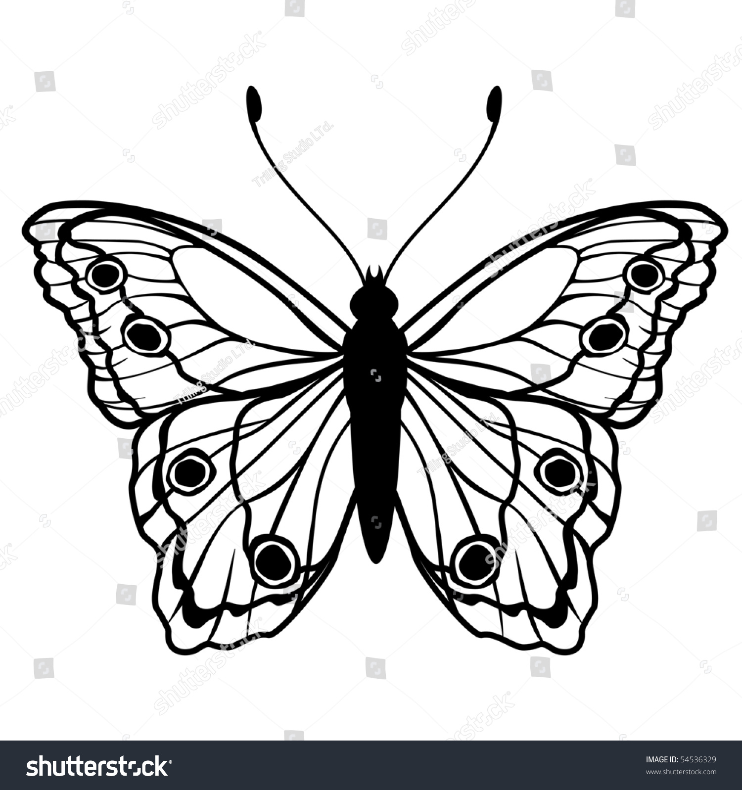 Vector Illustration Detailed Butterfly Silhouette Stock Vector 54536329 ...