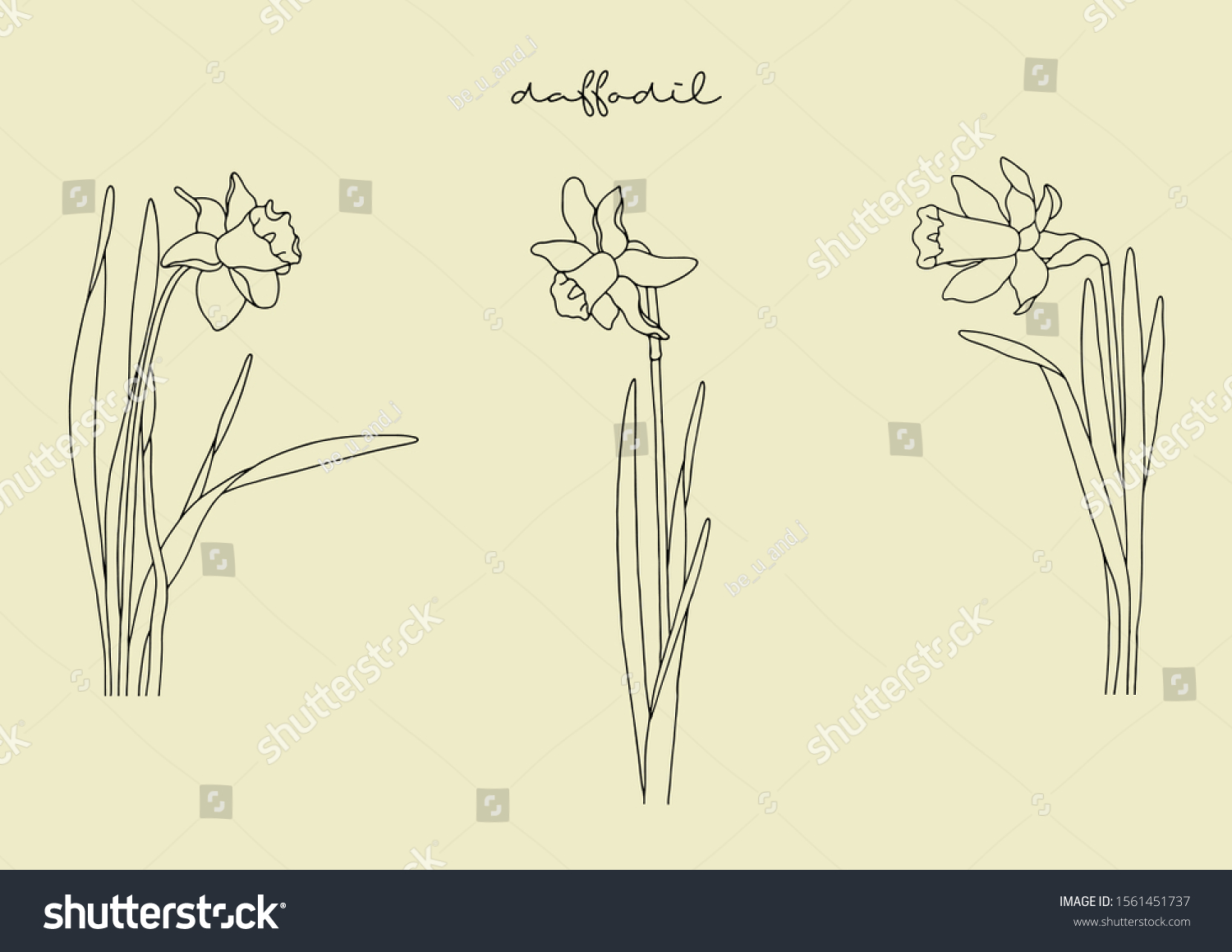SVG of Vector Illustration of Flowers, Daffodil svg