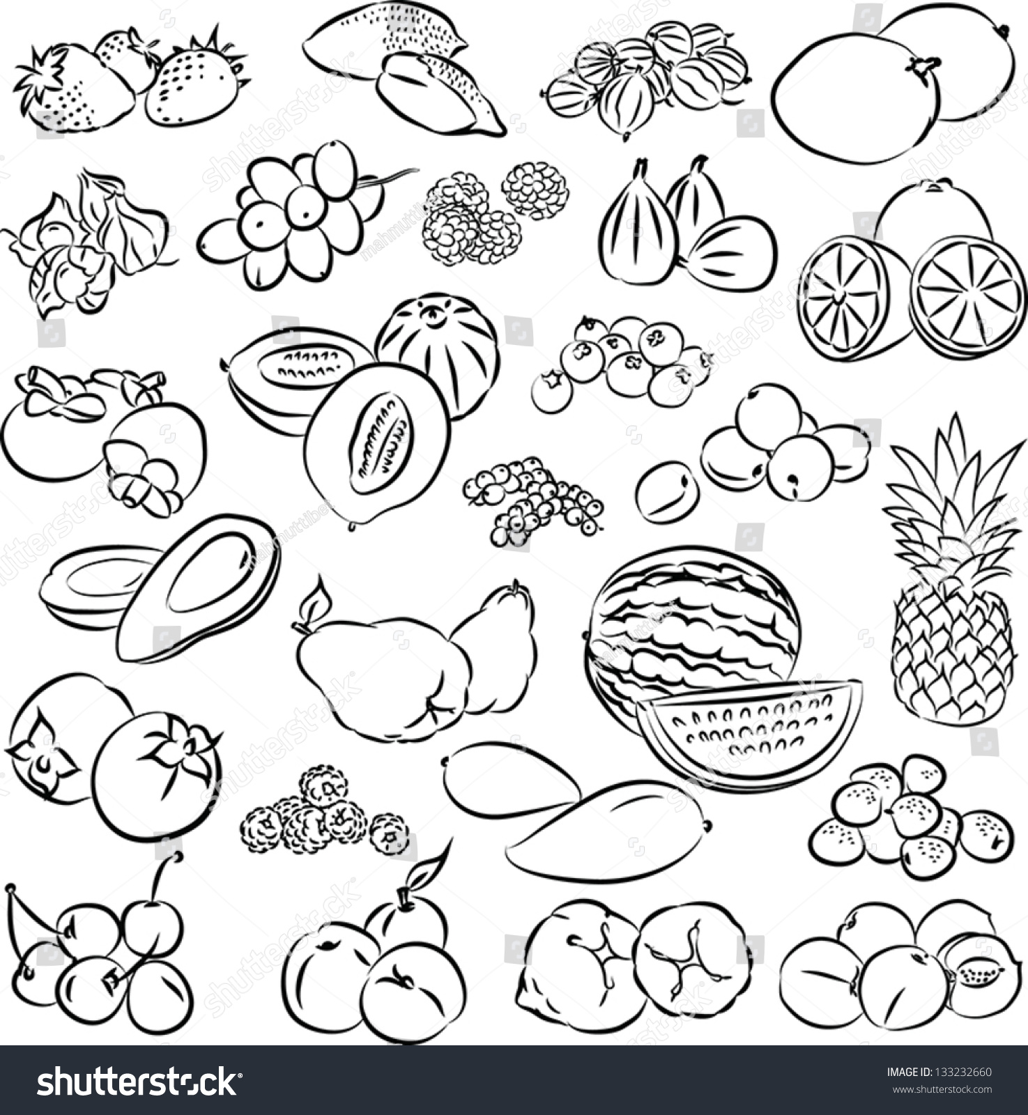 Vector Illustration Fruits Collection Black White Stock Vector ...