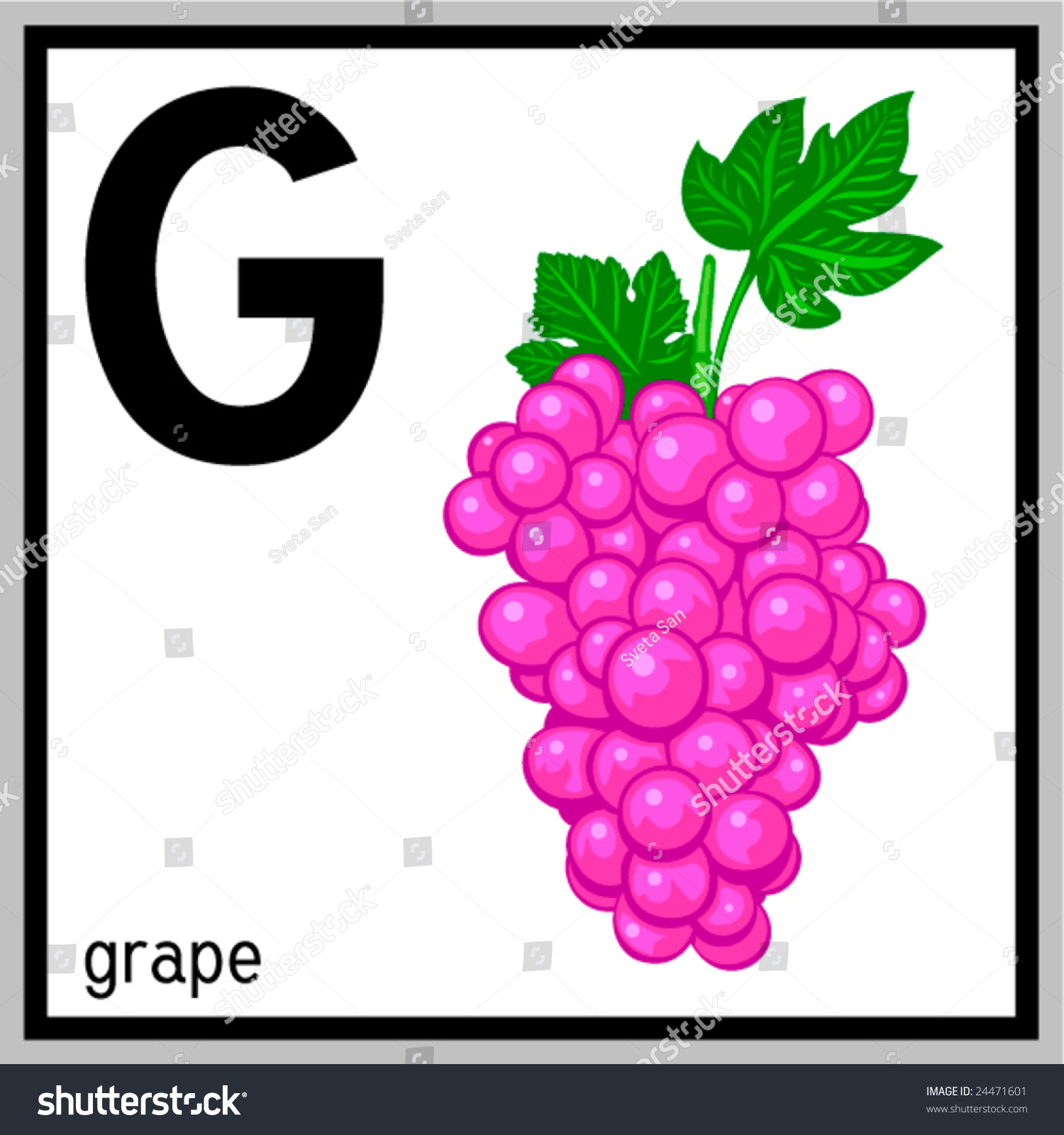 Vector Illustration Grape English Letter G Stock Vector ...