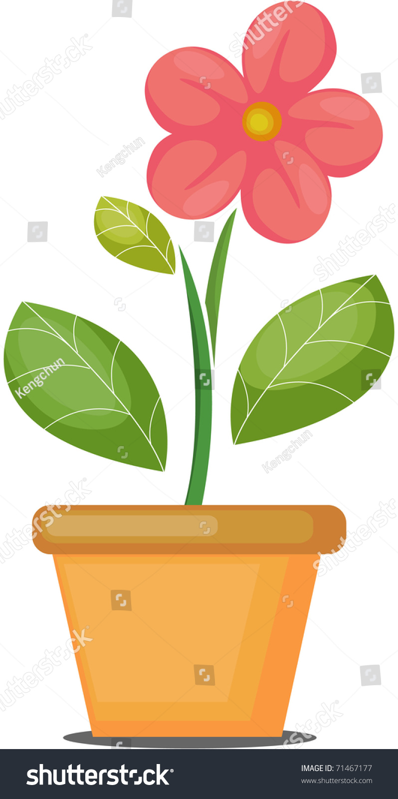 Vector Illustration Growing Plant Pink Flower Stock Vector 71467177 ...