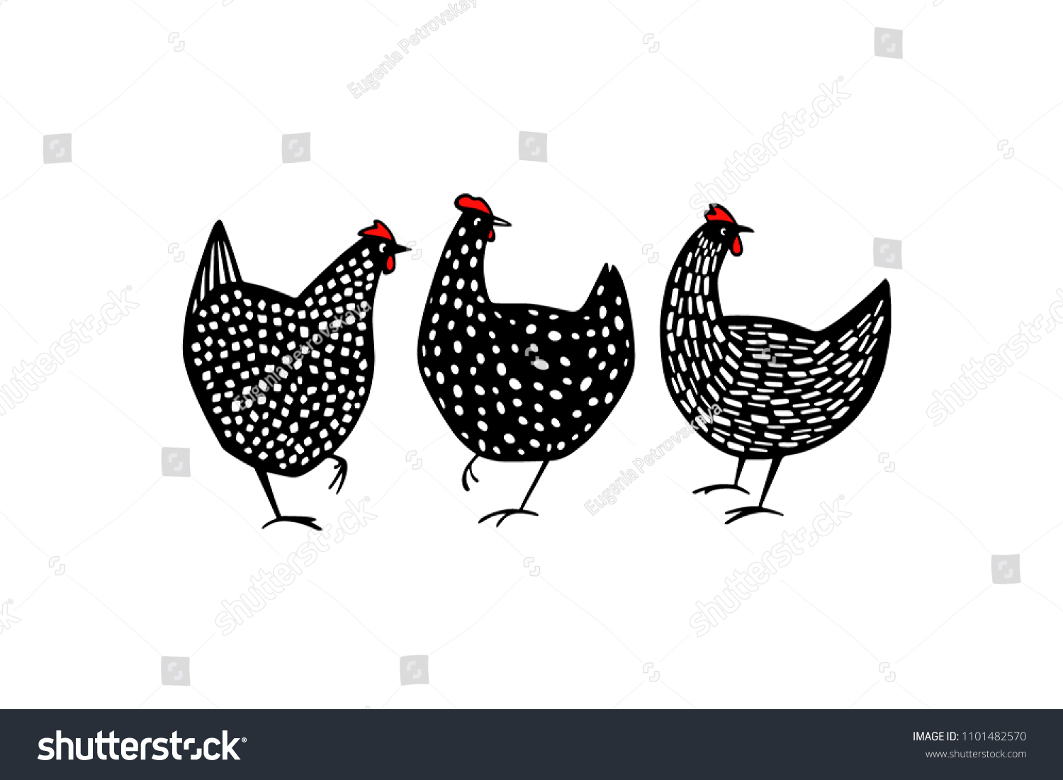 Vector Illustration Hand Drawn Speckled Hens Stock Vector (Royalty Free ...