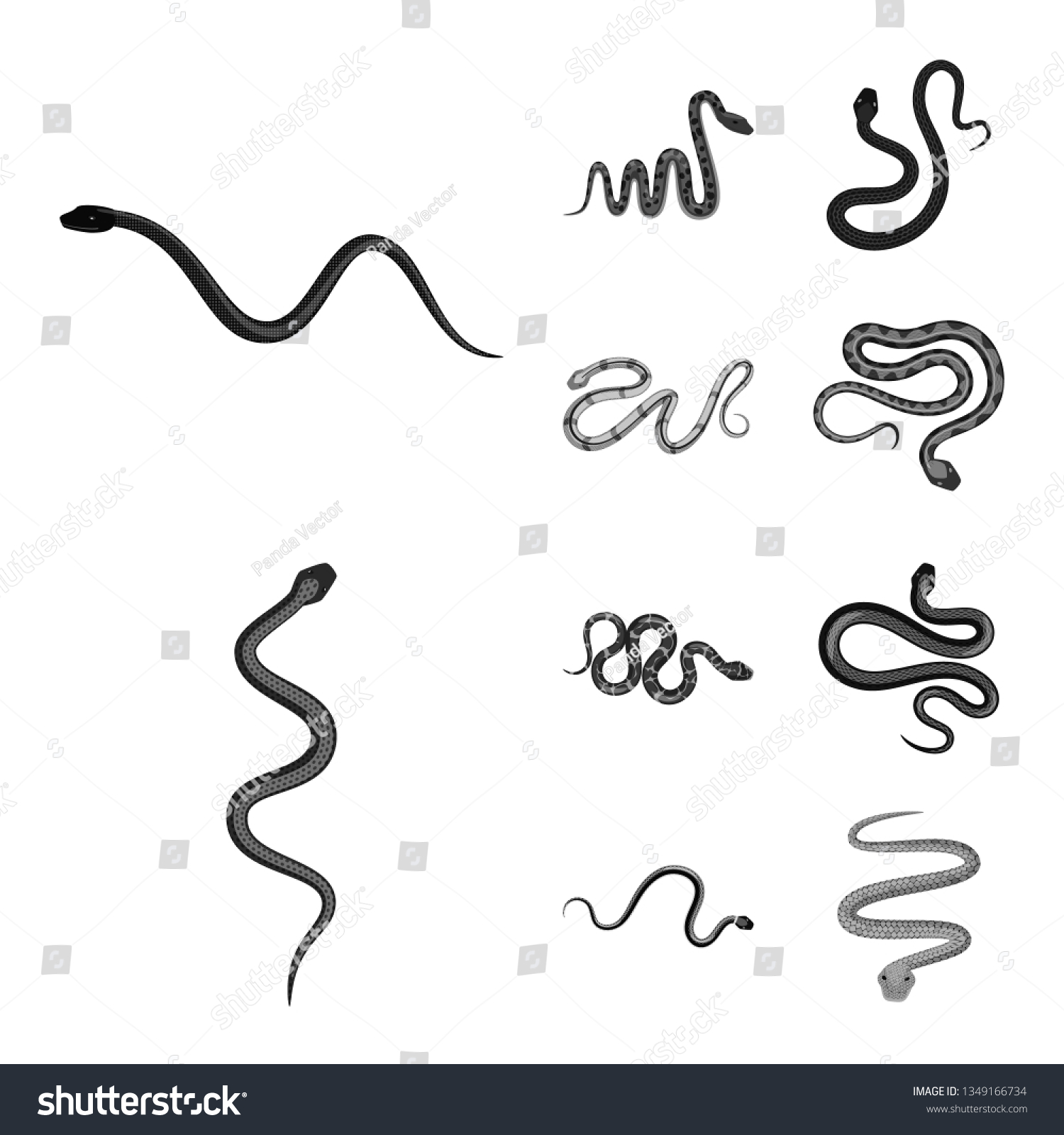 Vector Illustration Harm Bite Symbol Set Stock Vector (Royalty Free ...