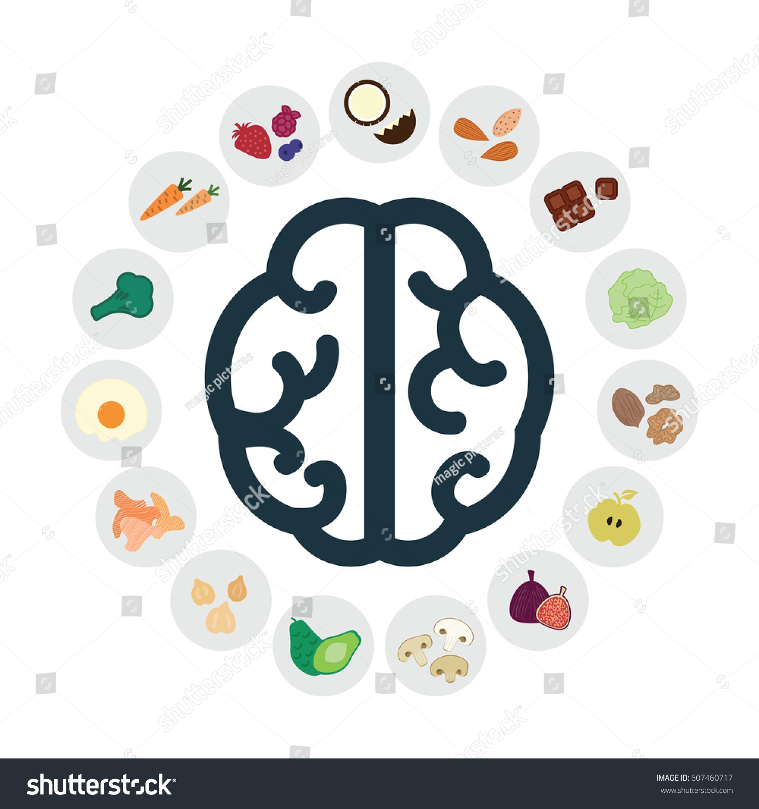 Vector Illustration Healthy Foods Increasing Brain Stock Vector ...