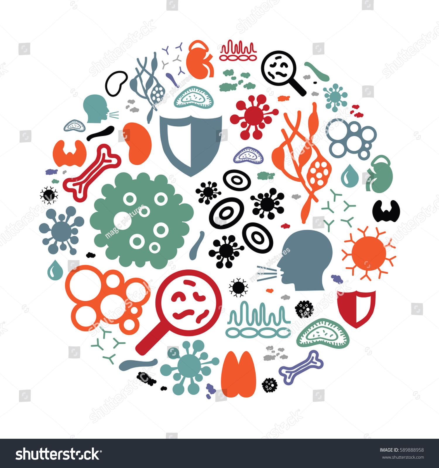 Vector Illustration Immune System Icons Circle Stock Vector (Royalty