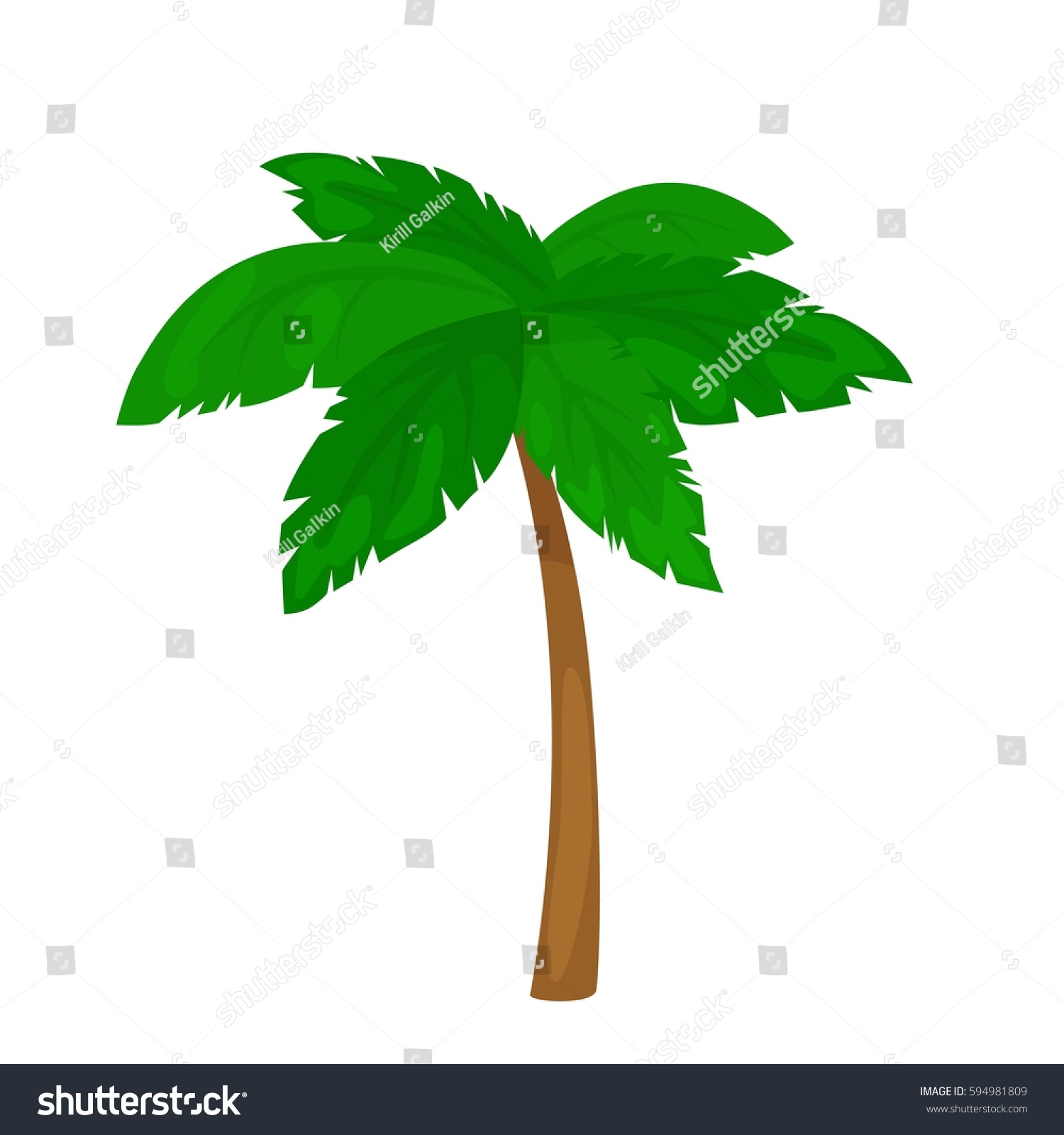 Vector Illustration Palm Tree Isolated On Stock Vector 594981809