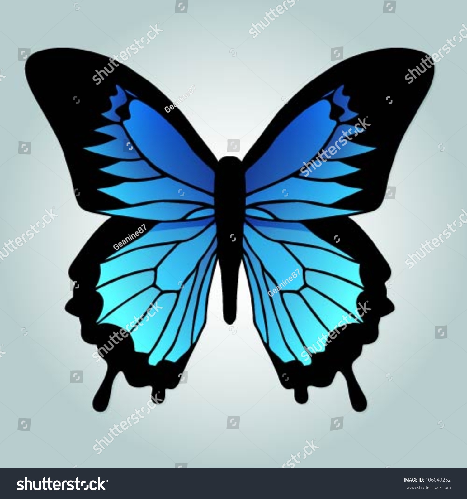 Vector Illustration Papilio Ulysses Butterfly Stock Vector (royalty 