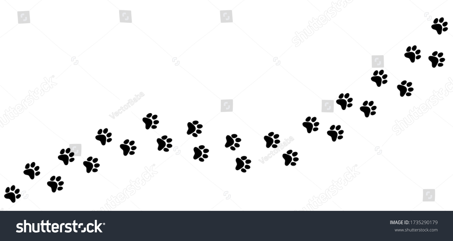 Vector Illustration Pet Foot Trail Stock Vector (Royalty Free ...