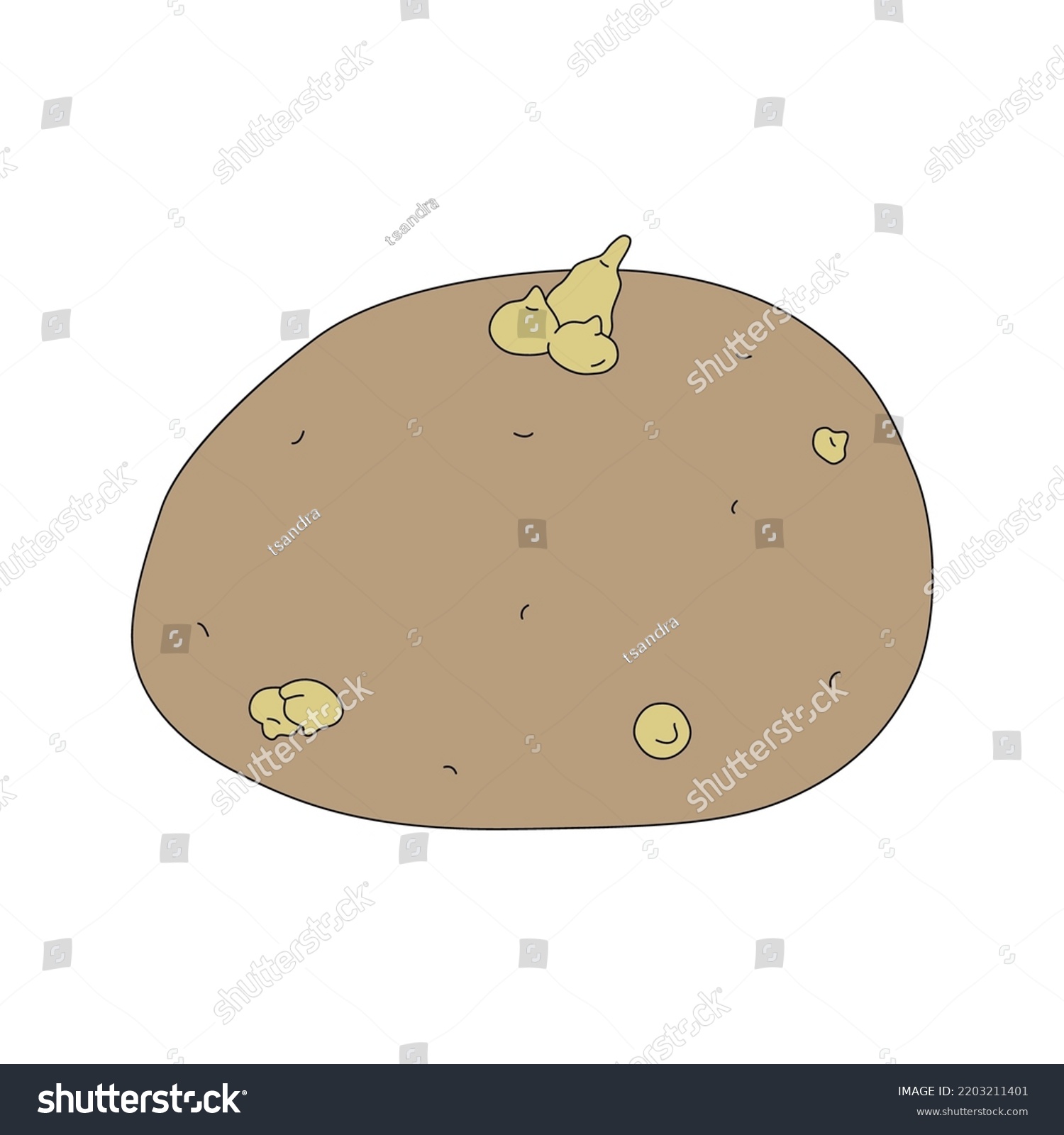 SVG of Vector illustration of potato with sprouts isolated on white background. Ripe fresh vegetable in cartoon style svg