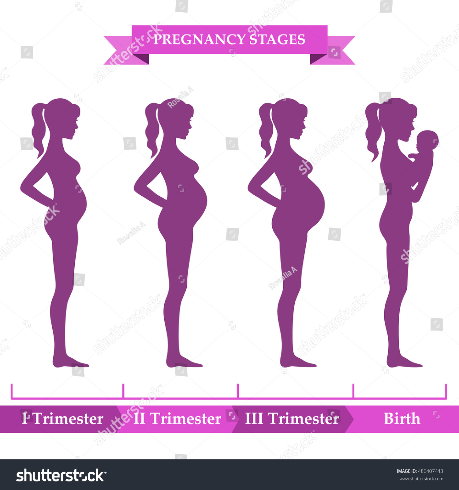 Vector Illustration Pregnant Female Silhouettes Pregnancy Stock Vector ...
