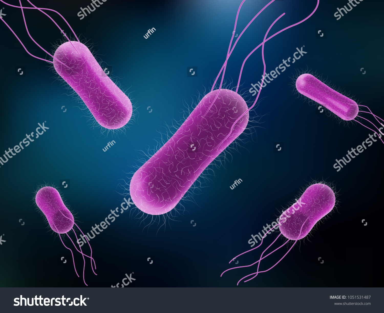 Vector Illustration Salmonella Bacteria Medicine Concept Vector De Stock Libre De Regal As