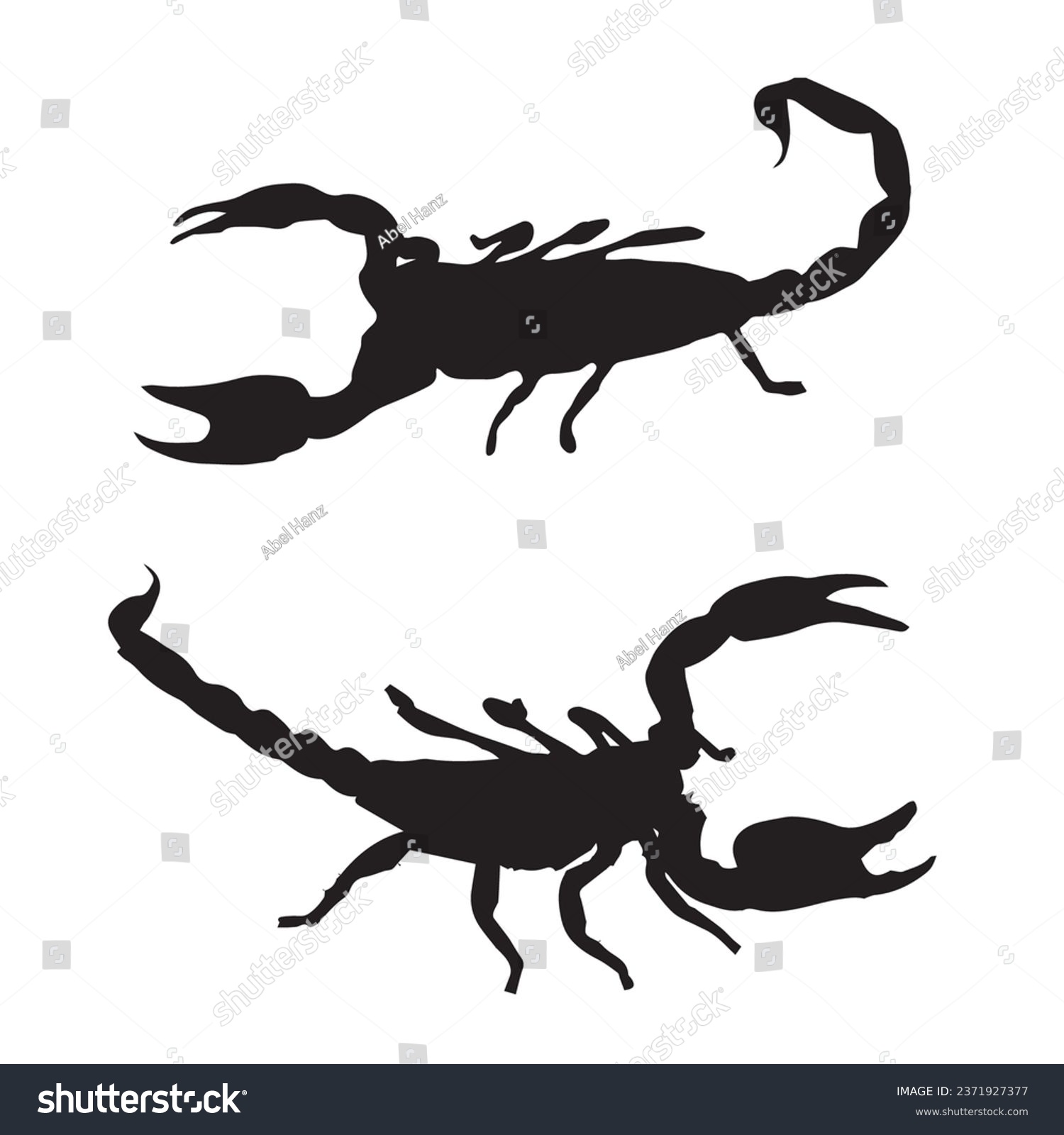 SVG of Vector Illustration of Scorpion Silhouette svg