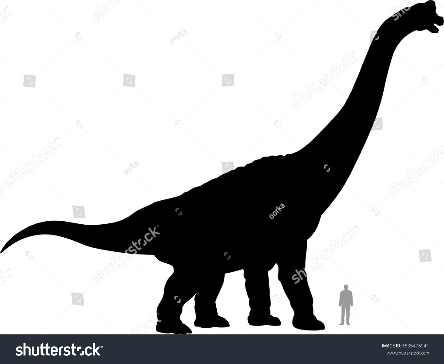 恐竜のブラキオサウルスのシルエットが 身長1 80mの人物と比較したベクターイラスト のベクター画像素材 ロイヤリティフリー