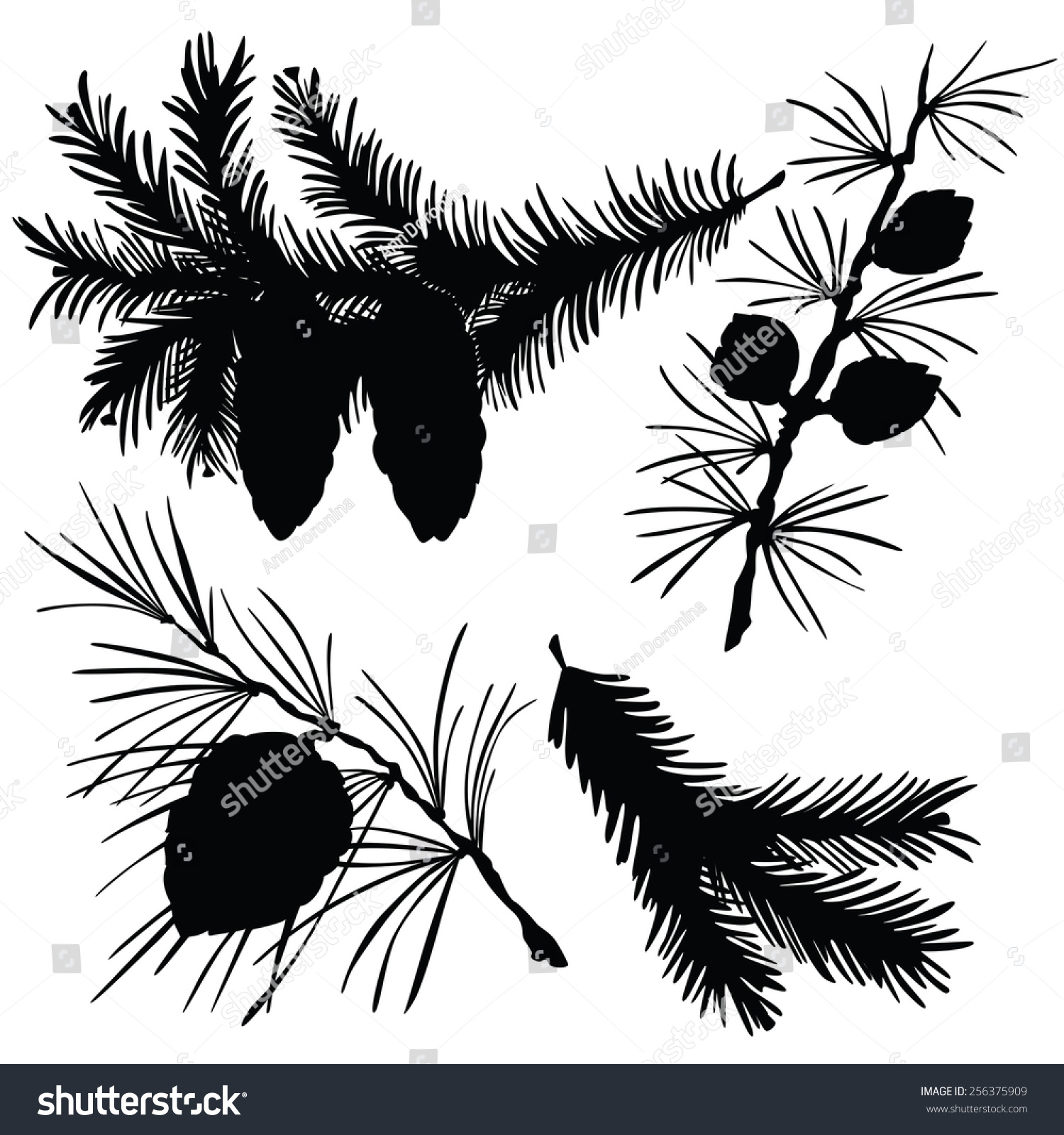 Vector Illustration Silhouettes Fir Branches Stock Vector 256375909 ...