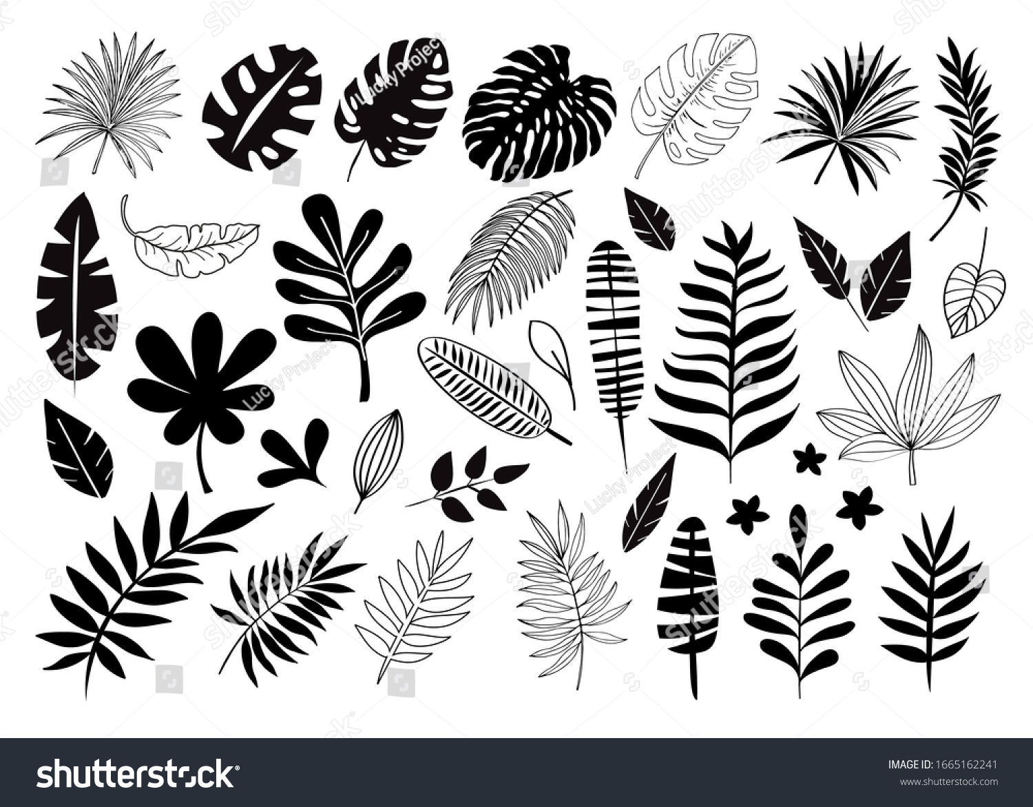 3,524,912 Summer black white Images, Stock Photos & Vectors | Shutterstock