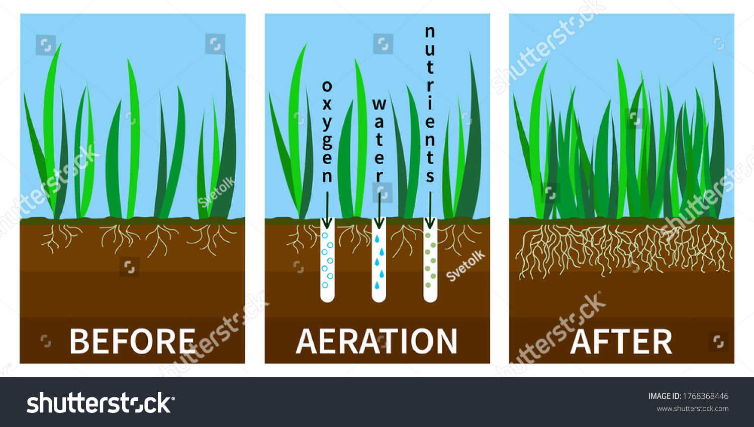 Grass-root Images, Stock Photos & Vectors | Shutterstock