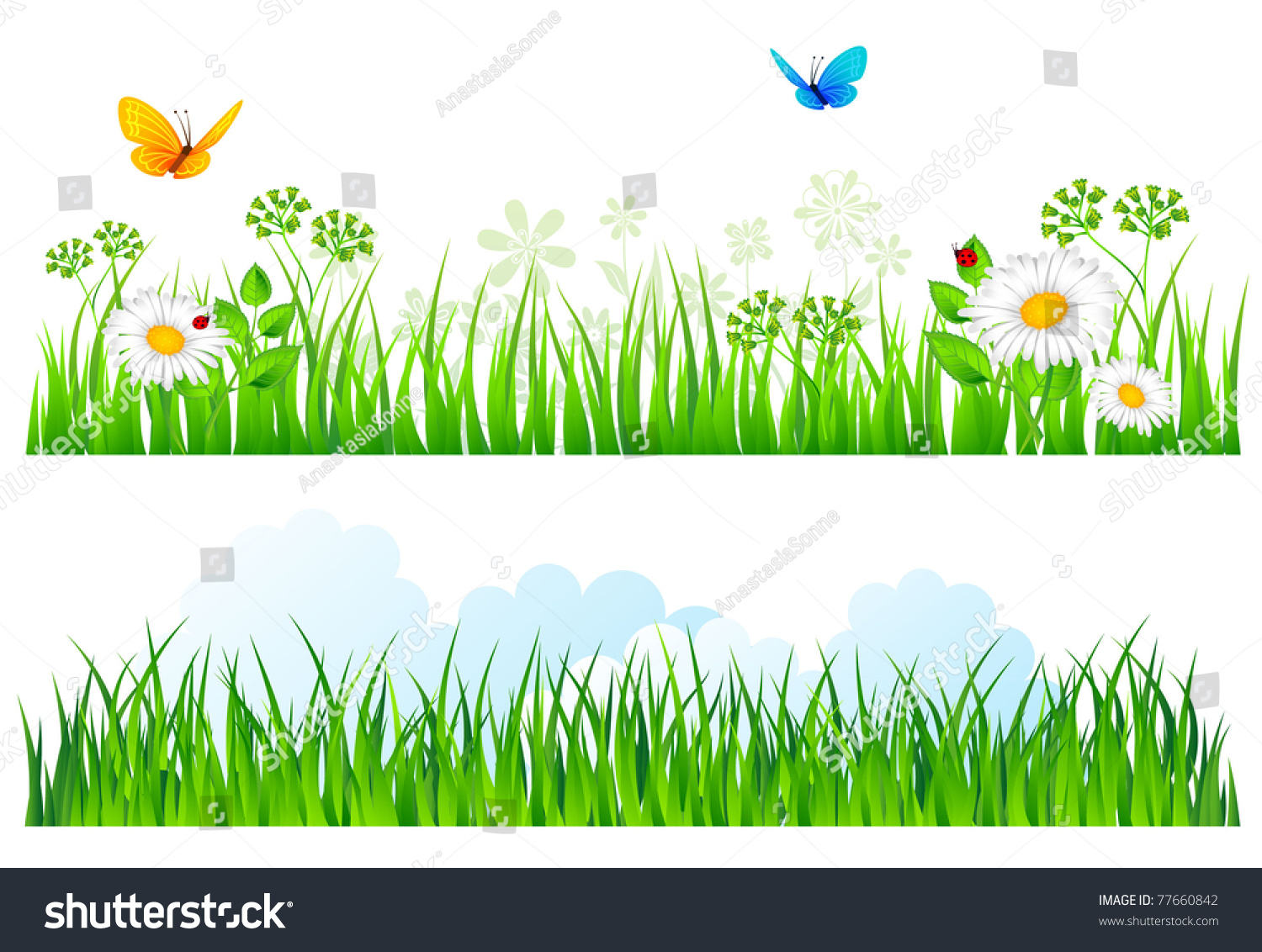 Vector Illustration Summer Grass Stock Vector 77660842 - Shutterstock