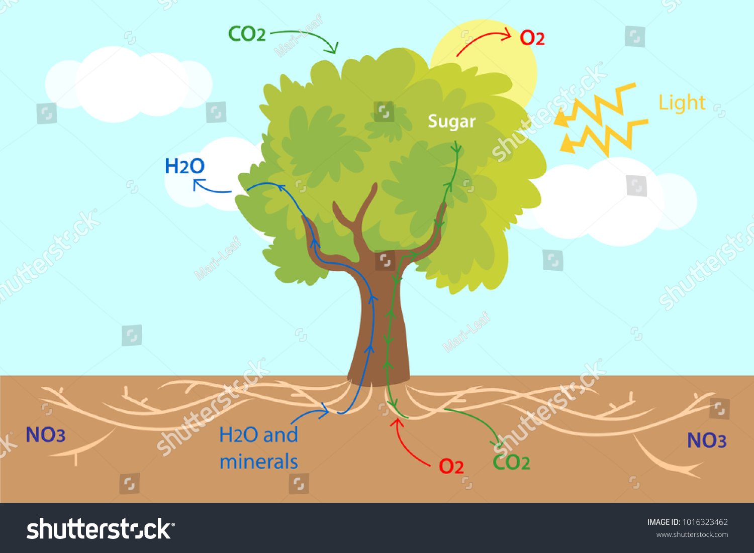 Vector Illustration Structure Numerous Processes Trees Stock Vector ...