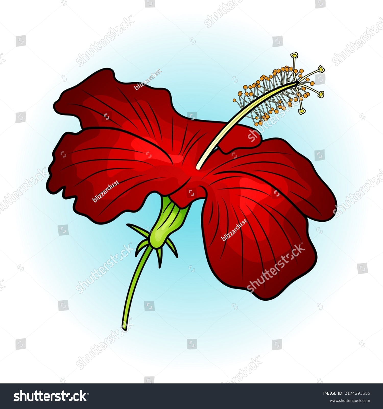 Vector Illustration Tropical Plant Red Hibiscus Stock Vector (Royalty ...