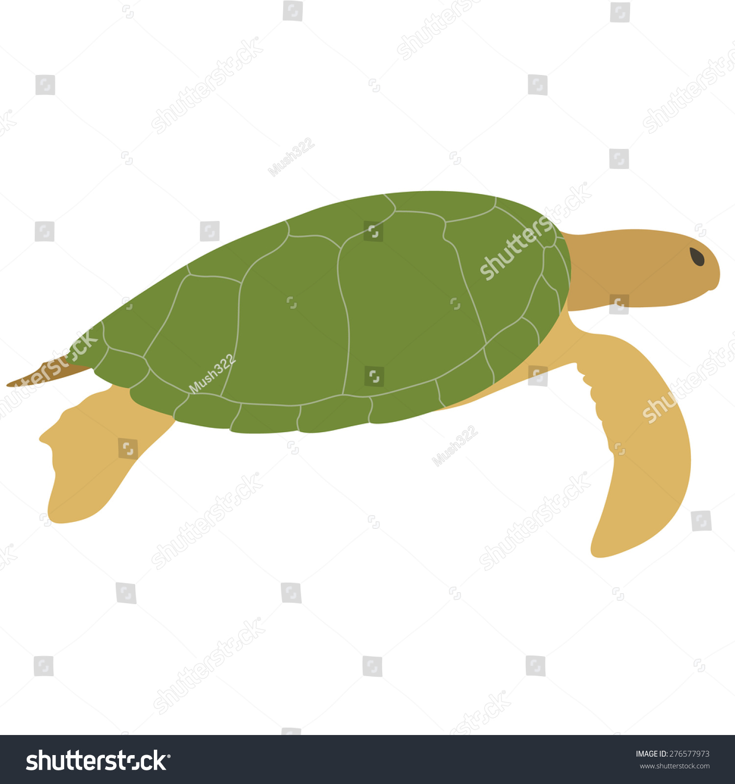 Vector Illustration Of Turtle Shutterstock