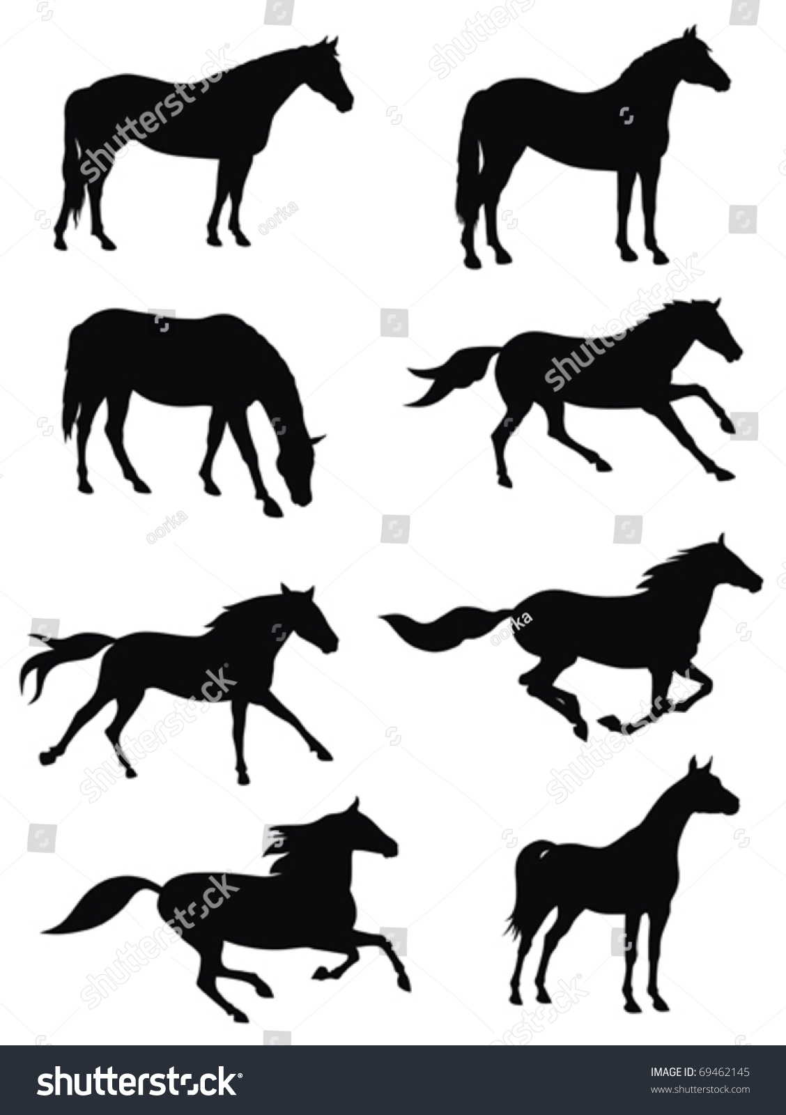 Vector Illustration Of Various Horses Silhouettes - 69462145 : Shutterstock