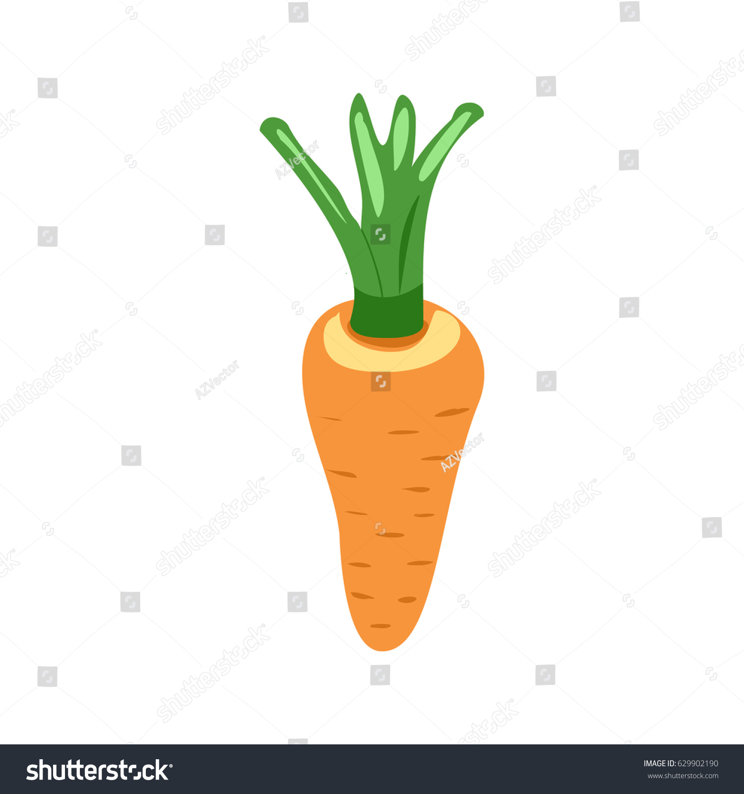 Vector Illustration Vegetables Carrot Stock Vector Royalty Free