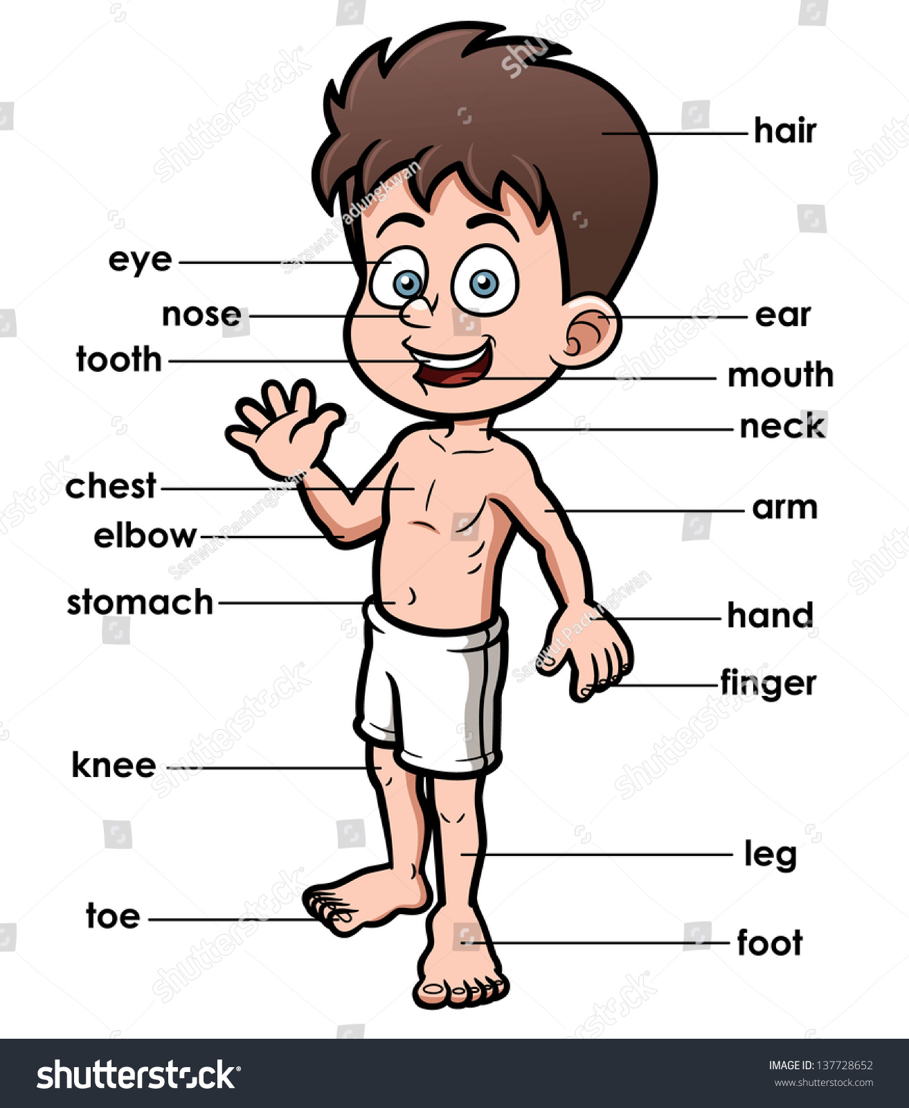 Vector Illustration Vocabulary Part Body Stock Vector Royalty Free 137728652