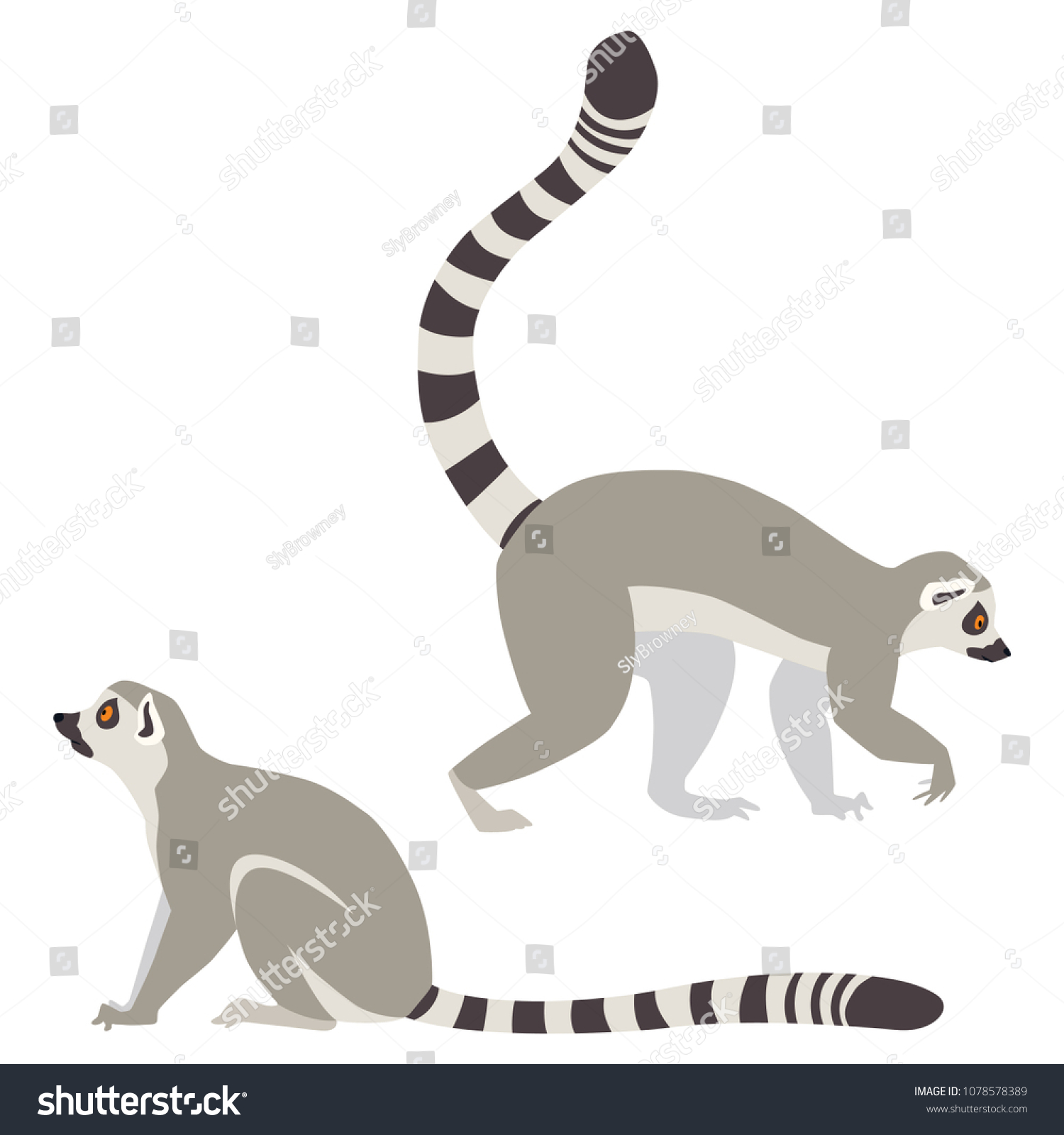 Vector Illustration Walking Sitting Lemurs Isolated Stock Vector ...