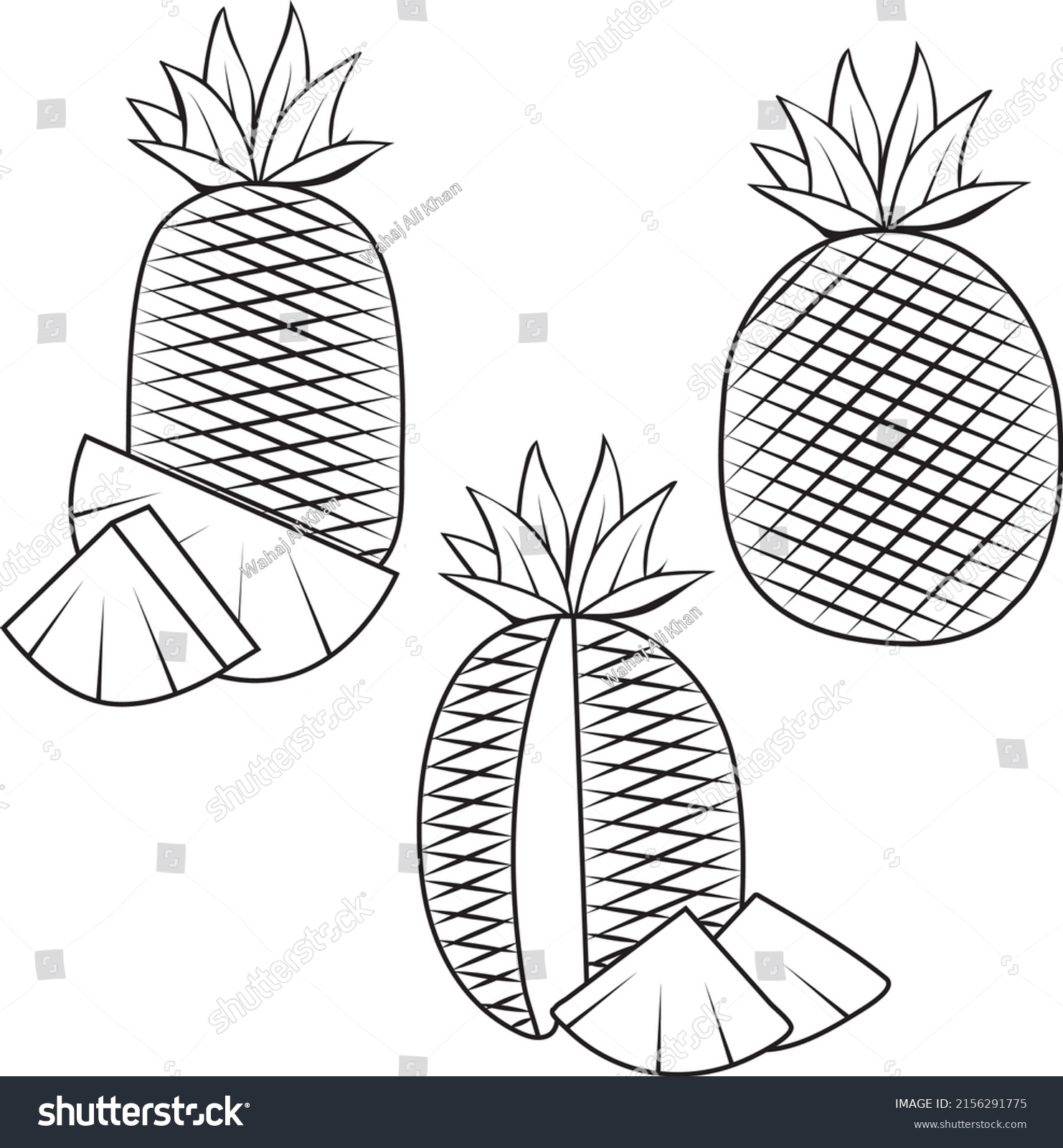 Vector Illustration Outline Black White Pineapple Stock Vector (Royalty ...