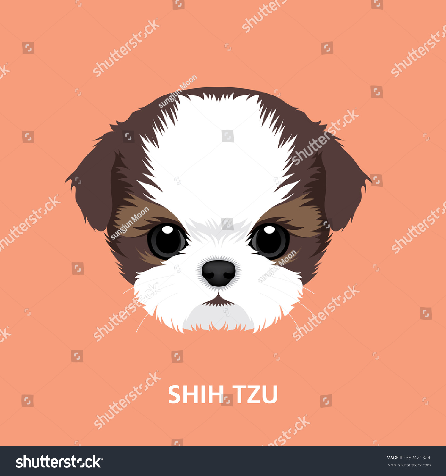 SVG of Vector Illustration Portrait of Shih-tzu Puppy. art of dog face svg