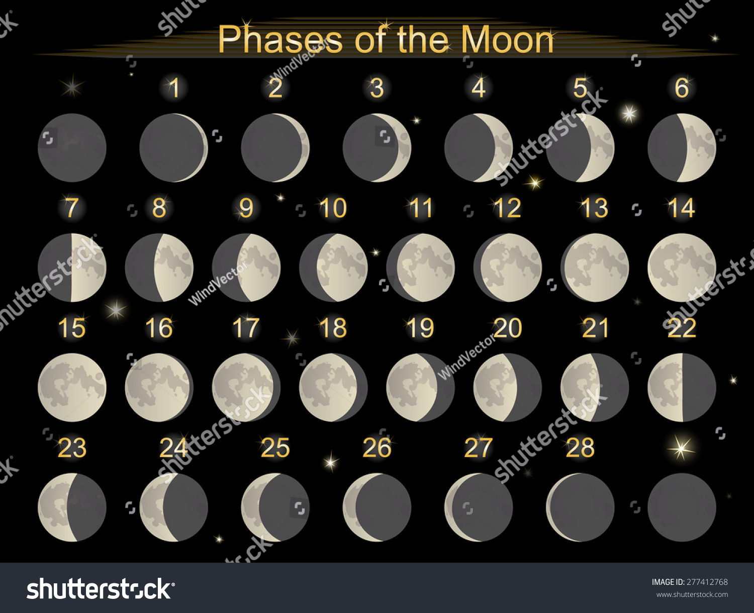 Vector Illustration Set Icons Phases Moon Stock Vector (Royalty Free