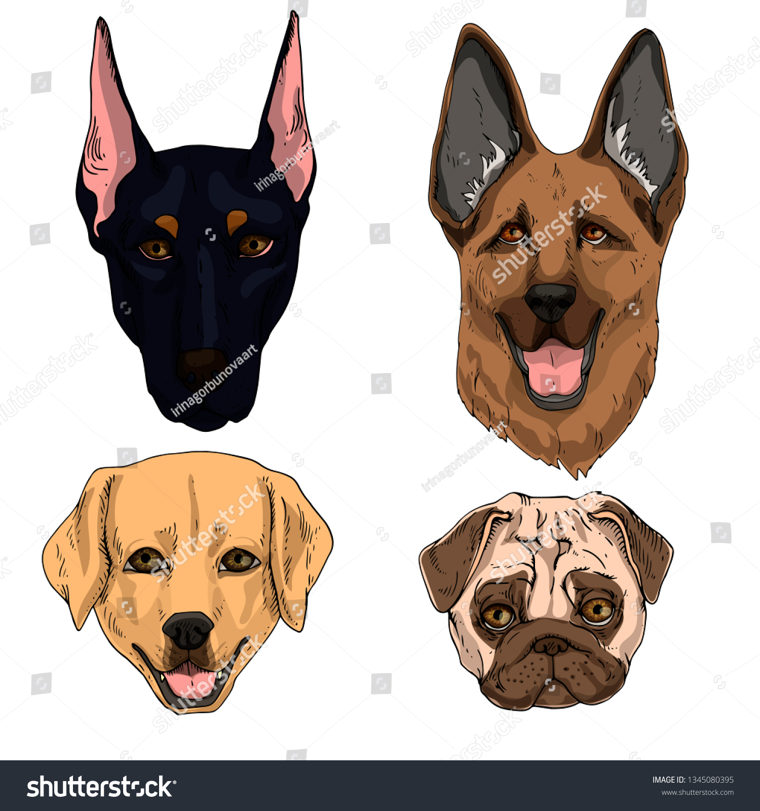 Vector Illustration Set Cute Dogs Flat Stock Vector Royalty Free 1345080395