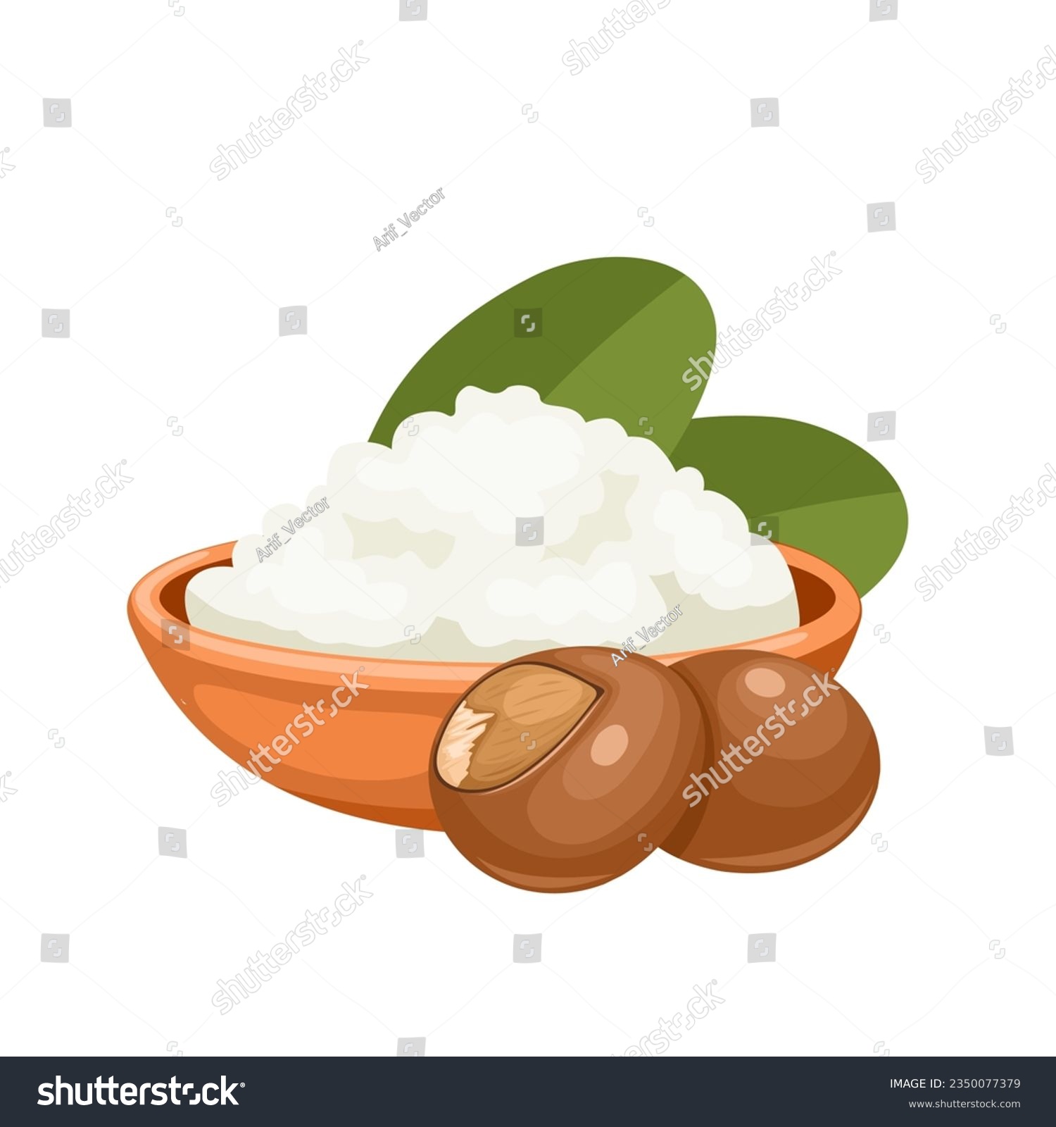 SVG of Vector illustration, shea butter, isolated on white background. svg