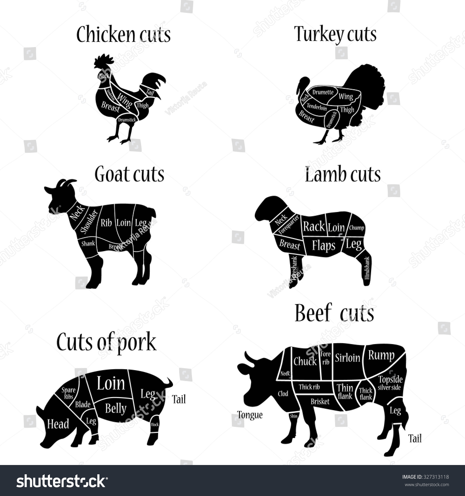 vector illustration turkey lamb goat chicken stock vector 327313118 goat chart