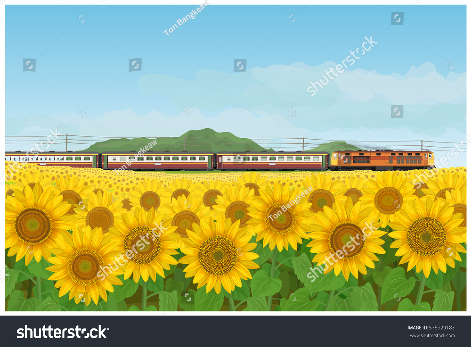 ベクターイラスト タイ風に見えないディーゼル機関車が率いる壁紙と背景に風景にひまわりの庭と列車の旅 のベクター画像素材 ロイヤリティフリー
