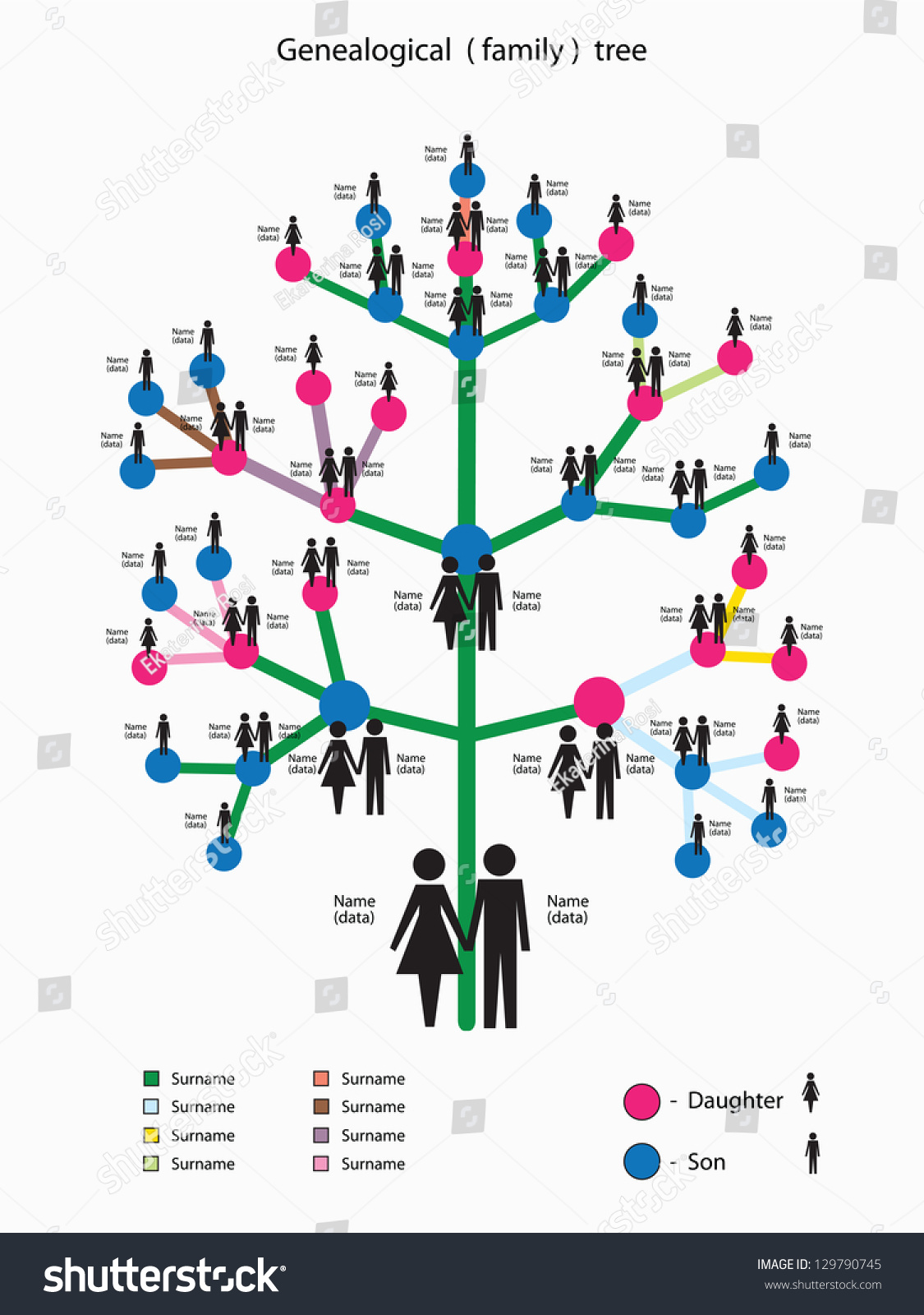 Vector Illustration Picture Genealogical Family Tree Stock Vector 129790745 Shutterstock Family Tree Genealogy Concept Vector