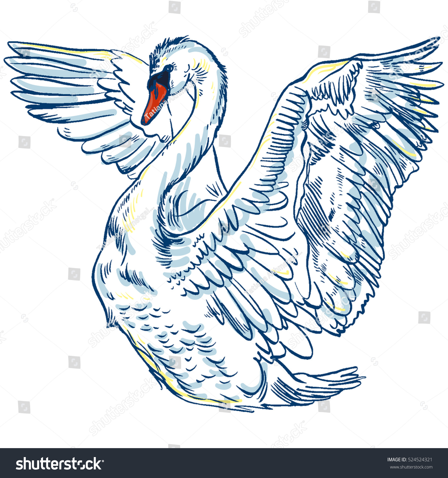 Vector Illustration With Handdrawn Swan - 524524321 : Shutterstock