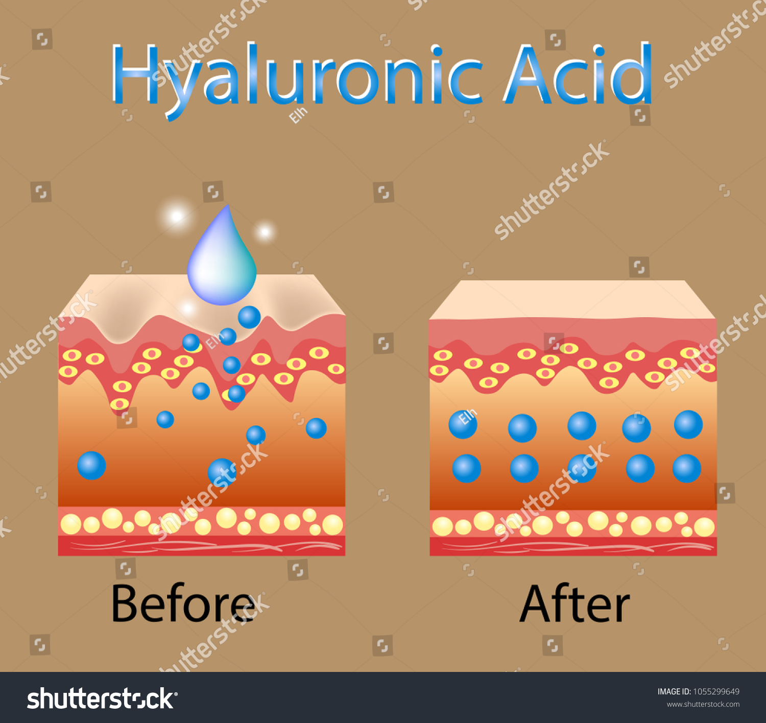 Vector Illustration Process Getting Skin Younger Stock Vector (Royalty ...