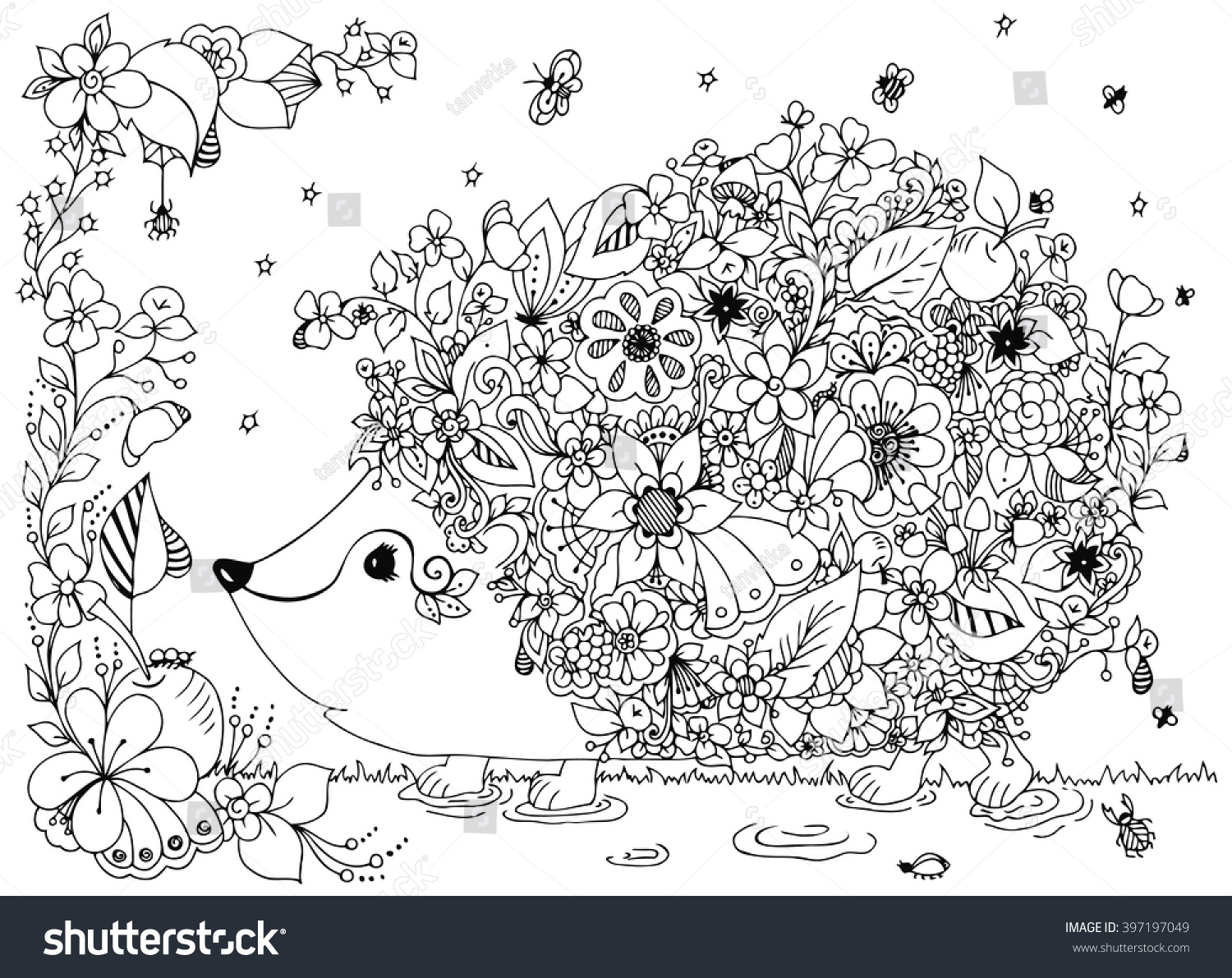 Porcupine Doodle Coloring Pages 10