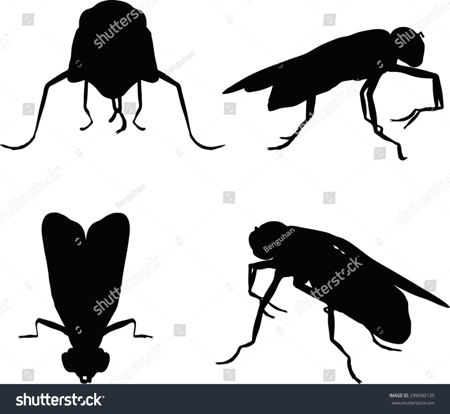 Vector Image Bug Fly Silhouette Isolated Stock Vector (Royalty Free ...