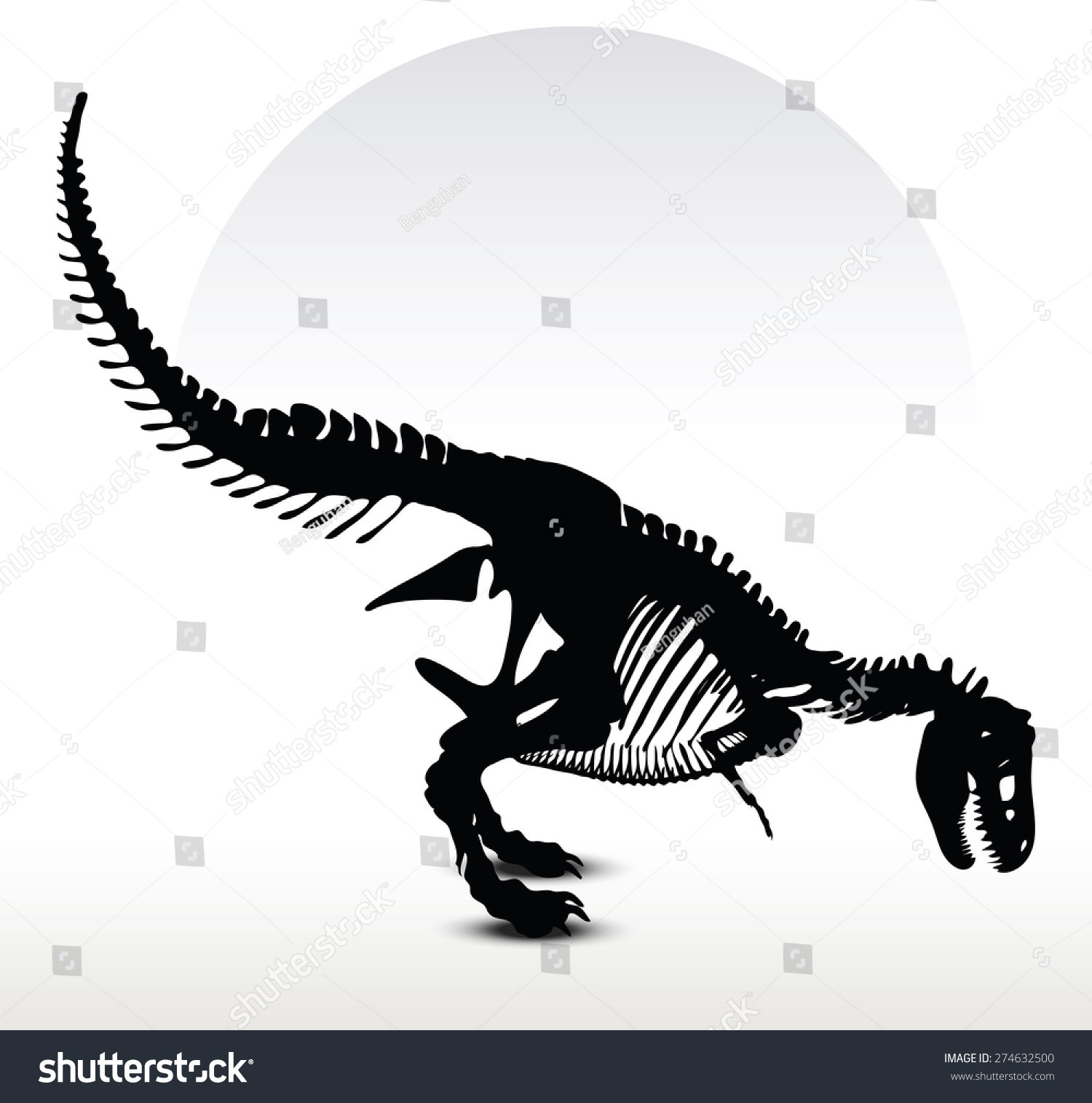 Vector Image - Dinosaurs T-Rex Skeleton Isolated On White Background ...