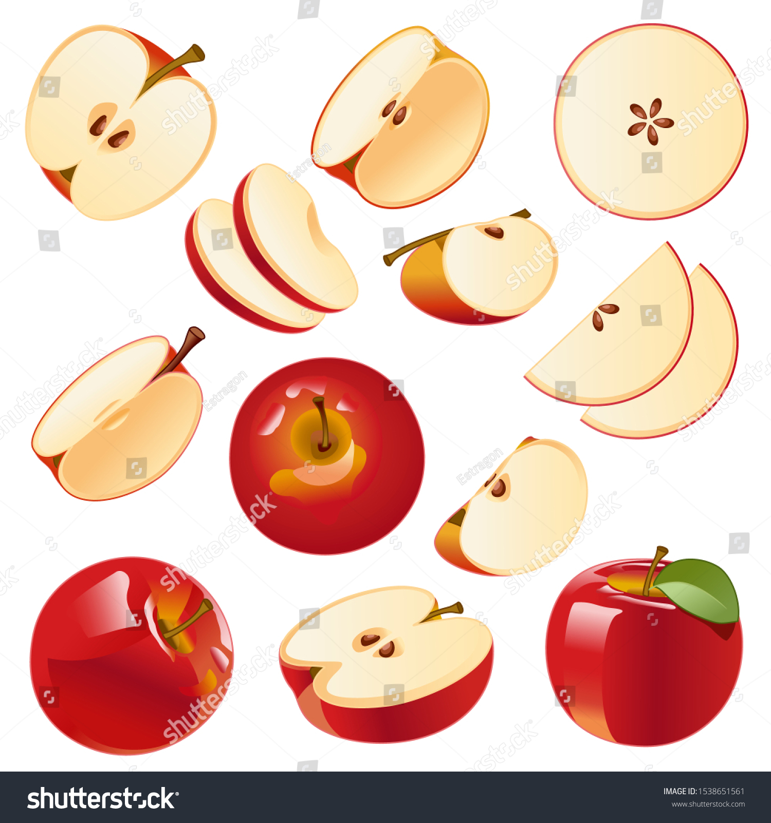 Vector Image Isolated Drawing Apples On Stock Vector (Royalty Free ...